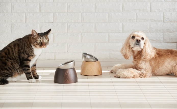 犬と猫とtoneの画像