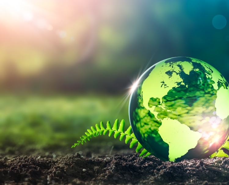 sustainable
